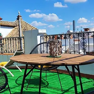 Hostly Orfila 3a-3b Exclusive Penthouse-center-fibre-parking Optional Seville